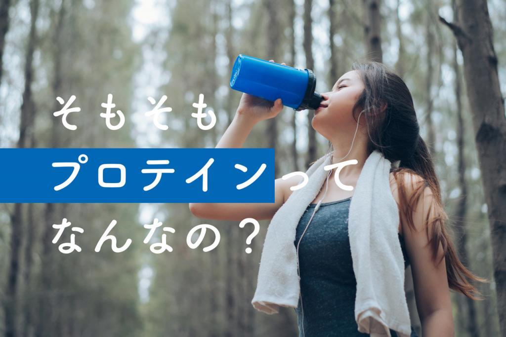 プロテインについての基礎知識